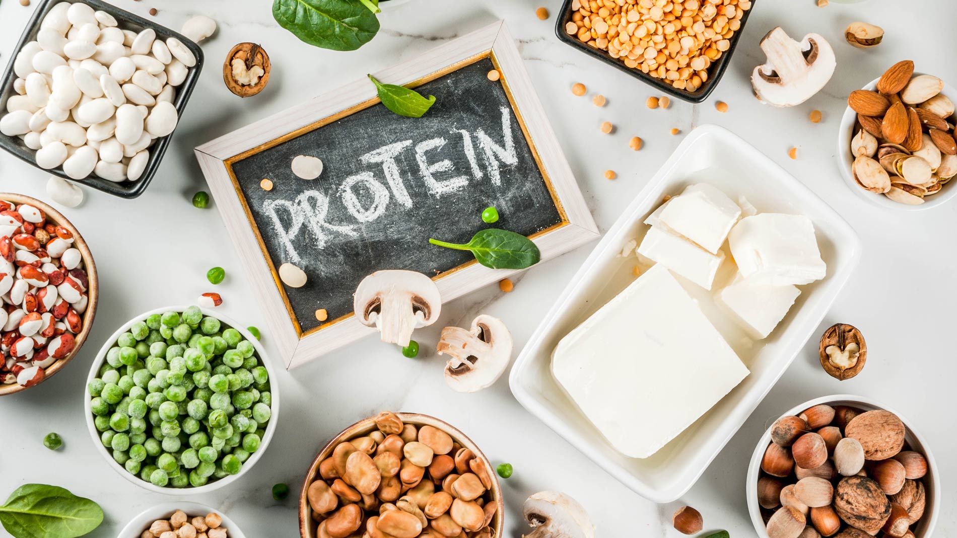 different kinds of plant based protein