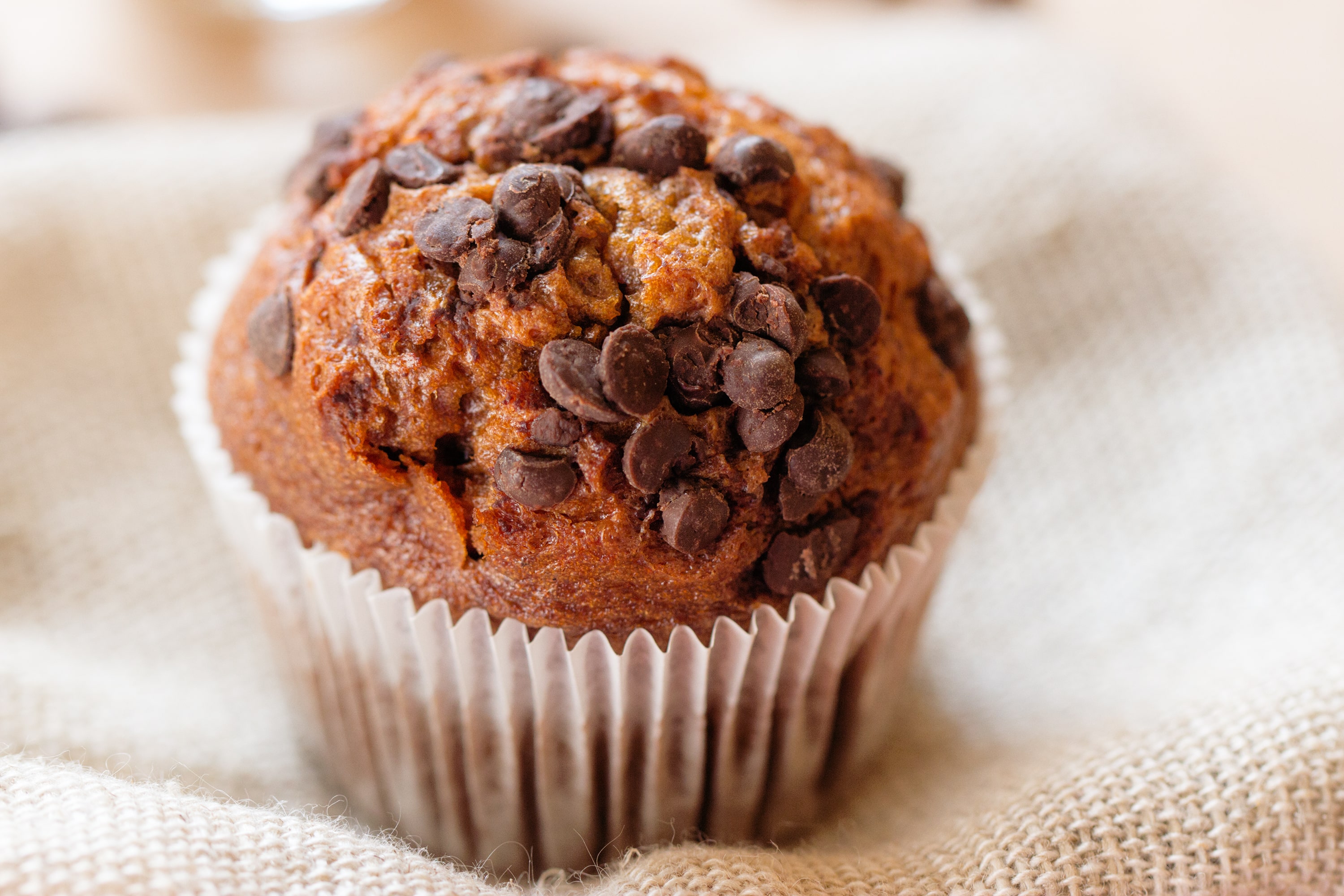 a muffin with lots of chocolate chips on top