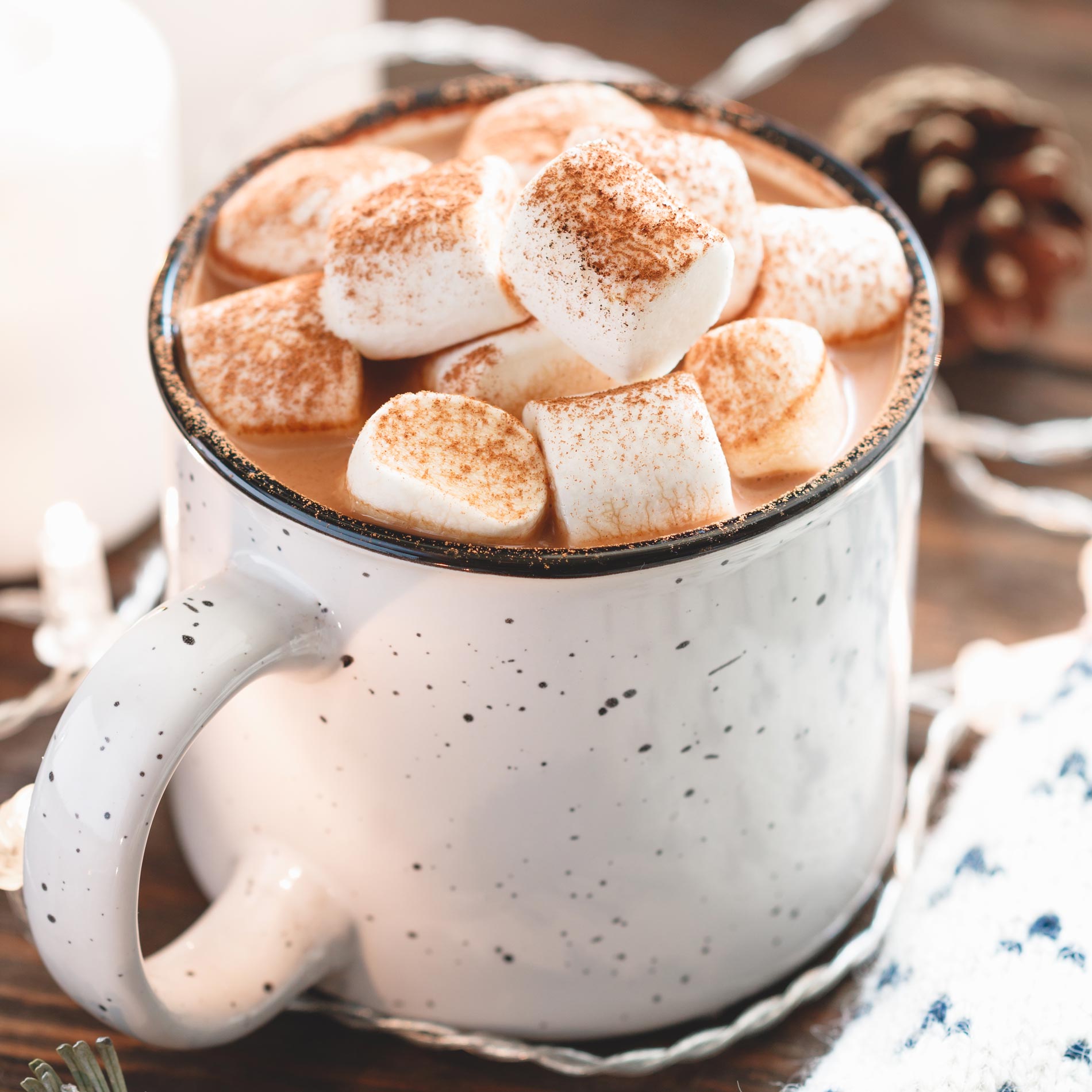 vegan hot chocolate with marshmallows