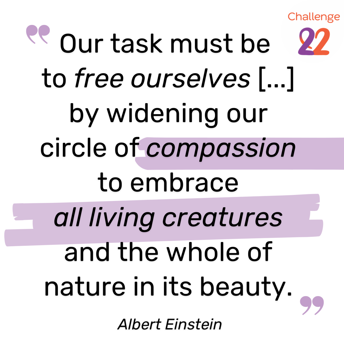 A quote by Albert Einstein