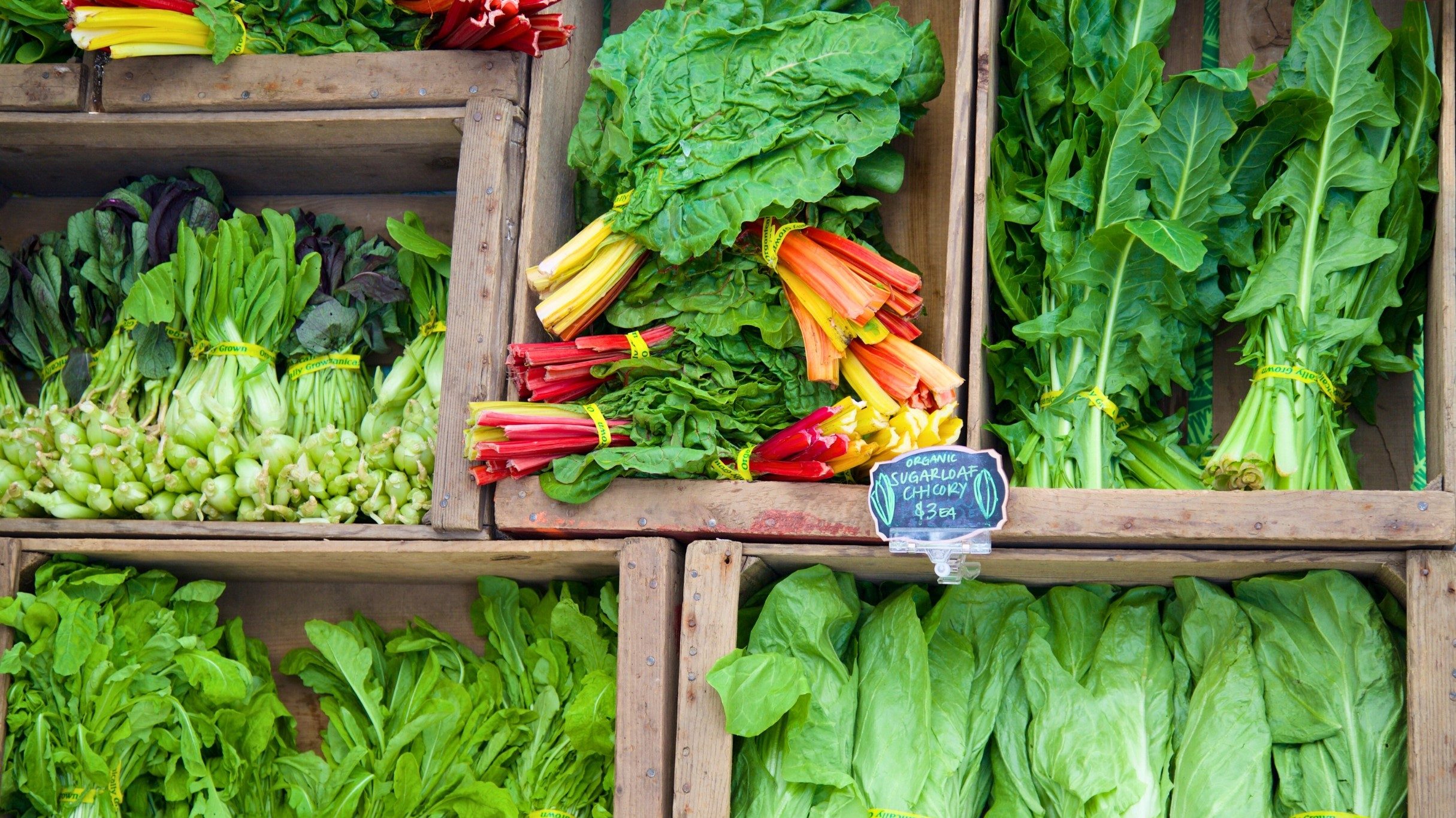 A cropped shot of shelves holding varied leafy green vegetables in a market