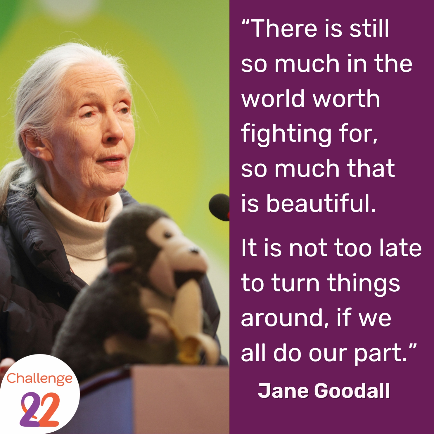 a photo and a quote by Jane Goodall