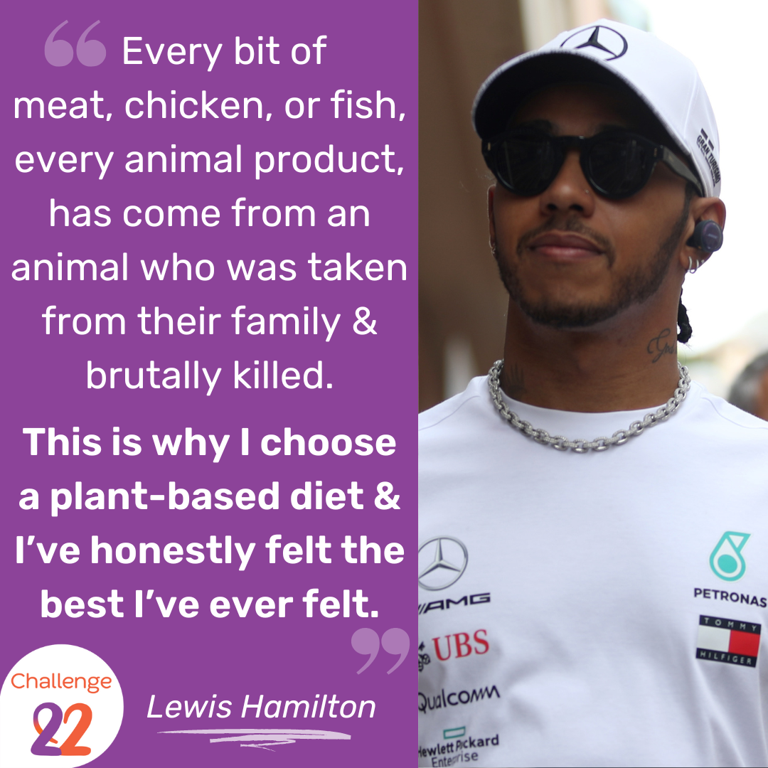 a photo and a quote by Lewis Hamilton