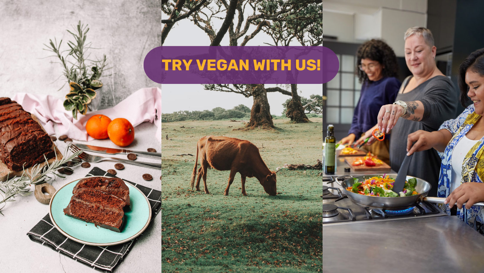 collage of people cooking vegan together and of a cow eating in nature and of a rich vegan chocolate cake with the text - try vegan with us
